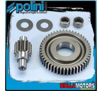 202.1404 INGRANAGGI RAPPORTI SECONDARI POLINI Z 14/48 PIAGGIO VESPA 50 2T PRIMAV