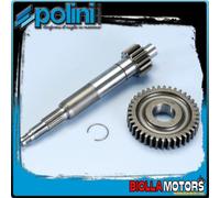 202.1405 INGRANAGGIO PRIMARIO PIAGGIO ZIP SP Z=15-38 mod.2000