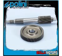 202.1406 INGRANAGGI RAPPORTI PRIMARI POLINI Z 16/51 YAMAHA AEROX 50 4T R LC ie E