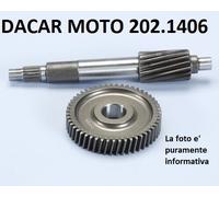 202.1406 INGRANAGGIO PRIMARIO POLINI YAMAHA : GIGGLE 50 - C3