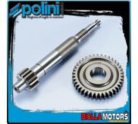 202.1407 INGRANAGGI RAPPORTI PRIMARI POLINI Z 14/39 PIAGGIO ZIP 50 2T SP H2O dal
