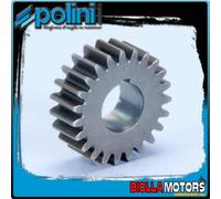 202.1411 INGRANAGGI RAPPORTI PRIMARI POLINI Z 23 LML STAR DELUXE 200 4T E3