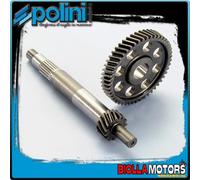 INGRANAGGI RAPPORTI PRIMARI POLINI Z 15/49 PIAGGIO 300 GTS SUPER HPE E5 2021