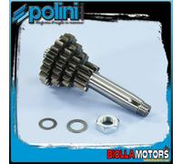 202.1417 INGRANAGGIO PRIMARIO POLINI Z=10/14/17/20 PIAGGIO VESPA 50 2T HP, FL2
