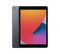 2020 Apple iPad (10,2-pollici, Wi-Fi, 32GB) Grigio Siderale (Ricondizionato)