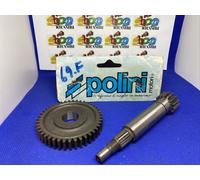 2021318 - RAPPORTI POLINI INGRANAGGIO PRIMARIO ALL.YAMAHA CT-MBK ACTIVE Z=14-43