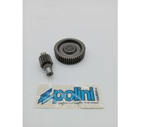 2021340 Ingranaggi Secondari Allungati Polini Z 15-49 D.20 Honda Bali SFX