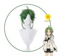 2022 Anime Mushoku Tensei Sylphiette Greyrat Cosplay Green Verde Parrucca Breve disoccupazione Disattivazione Reincarnazione+ Parrucca Cap Capelli sintetici Party Hair