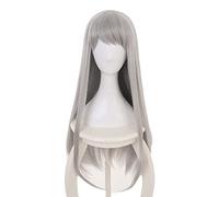 2022 Cos Wig Parrucca Anime Blend S Cosplay Hideri Kanzaki Parrucca, Parrucca Lunga Dritta D'argento, Parrucca Costume Di Halloween, for Halloween, Festa In Costume, Spettacolo Di Anime, Evento Cospla