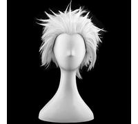 2022 Cos Wig Parrucca Anime Fate Cosplay Parrucca Emiya Shirou, Parrucca Corta, Parrucca Costume di Halloween, for Halloween, Festa in Costume, Spettacolo Anime, Evento Cosplay, Concerti (Colore: Ross