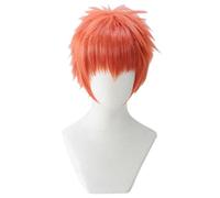 2022 Cos Wig Parrucca Anime Fate Cosplay Parrucca Emiya Shirou, Parrucca Corta, Parrucca Costume di Halloween, for Halloween, Festa in Costume, Spettacolo Anime, Evento Cosplay, Concerti (Colore: Ross