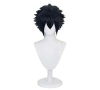 2022 Cos Wig Parrucca Anime Final Fantasy XV Cosplay Noctis Lucis Caelum Parrucca, Parrucca Corta e Soffice, Parrucca Costume di Halloween, for Halloween, Festa in Costume, Spettacolo Anime, Evento Co