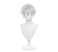2022 Cos Wig Parrucca Anime Gintama Cosplay Parrucca Sakata Gintoki, Parrucca Anime, Parrucca Costume Halloween, for Halloween, Festa in Costume, Spettacolo Anime, Evento Cosplay, Concerti (Colore: Bi