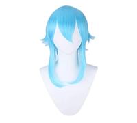 2022 Cos Wig Parrucca Anime Sword Art Online Cosplay Asada Shino Parrucca, Parrucca Corta Blu, Parrucca Costume Halloween, for Halloween, Festa in Costume, Spettacolo Anime, Evento Cosplay, Concerti