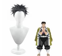 2022 Cos Wig Parrucca Cosplay Anime, Parrucca Ammazza Demoni, Parrucca Soffici Capelli Corti Grigio Nero for Parrucche Giochi di Ruolo Himejima Gyoumei con Cappuccio for Parrucca, for Feste Quotidiane
