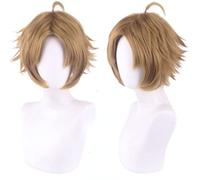 2022 Parrucca cosplay anime, parrucca Rudeus Greyrat reincarnazione senza lavoro, parrucca marrone corta, con cappuccio for parrucca gratuito, for la parrucca cosplay di Halloween di tutti i giorni fo