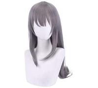 2022 Parrucca Cosplay Anime Sakurajima Mai Grigio Capelli Lunghi Comic- con Natale Carnevale di Halloween Party Vita Quotidiana Uomini e Donne Parrucca di Moda + Tappo della Parrucca