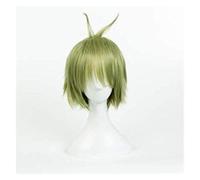 2022 Rtuturno Parrucca anime Rantaro Amami Green Verde Parrucca Capelli Capelli Erba Verde Cosplay Comic- con Halloween Party Carnival Uomini e donne Ventilatori Anime regalo (seta ad alta temperatur