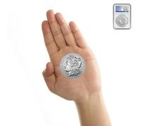 2024 American Silver Peace Dollar Coin MS-70 (First Day of Issue) with Original Government Packaging $1 MS70 PCGS angolo holders for all coins