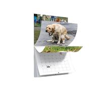 2024 Dog Pooping Hangable for Home Hostel Hotel Bedroom