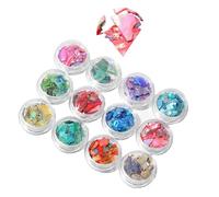 2024 Japanese Fashion Style 12 griglie paillettes fai da te nail art kit 3D fiocchi conchiglia paillettes lucide nail decoration kit per principianti del salone per unghie, colori misti-02