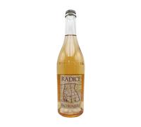 2024 - Paltrinieri - Radice Lambrusco di Sorbara - 0,75L 11%