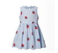 2025 Abiti Abito Fragola Ragazza Senza Maniche Bambini Principessa Bambini Estate Casual Ragazza Vestito & Gonna, Blu, 5-6 Anni