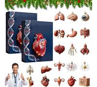 2025 Anatomy Advent Calendar, 24 Days of Human Organ Ornaments Christmas Countdown Calendar, 2D Acrylic Science Themed Hanging Pendants, Mini Human Organ Models Themed Set, for Science Lovers (2PCS)