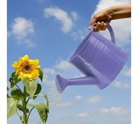 2025 Modern Watering Can for Indoor and Outdoor Use Elegant for Efficient Watering Perfect Lovers and Gardening Enthusiasts (D, 24. 5 x 11. 5 x 11 cm)