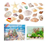 2025 Seashell Advent Calendars - 24 Days of Christmas Countdown for Collectors | Scientific Seashell Model Collectible | Educational Shells Gift for Kids Adults Teens Holiday School Family