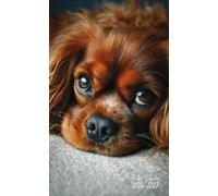 2026-2027 Pocket Calendar: 2 Year Pocket Planner January 2026 - December 2027 | For Cavalier King Charles Spaniel Dog Lovers