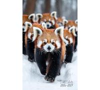 2026-2027 Pocket Calendar: 2 Year Pocket Planner January 2026 - December 2027 | For Red Panda Lovers