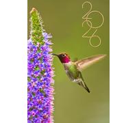 2026 Beautiful Hummingbird Planner: 6" x 9" Inches Weekly Daily