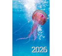2026 Beautiful Jelly Fish Planner: 6" x 9" Inches Weekly Daily