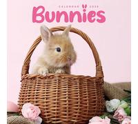 2026 Bunnies Mini Wall Calendar
