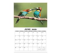 2026 Calendario della parete degli uccelli - Calendario di 13 di carta con motivi di | 140G gennaio 2026 - gennaio 2027, efficiente pianificatore murale per gli appassionati della natura