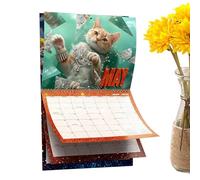 2026 Cat Calendar - Jan - Dec 2026 Wall Planner | 28x28cm Paper Funny Cat Monthly Calendar | For Home Living Room Study Room Office School Family Decor