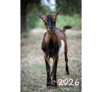 2026 Cute Goat Planner: 6" x 9" Inches Weekly Daily Calendar