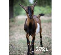 2026 Cute Goat Weekly Planner: 8.5" x 11" Inches Monthly Daily Calendar