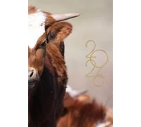 2026 Cute Longhorn Cow Planner: 6" x 9" Inches Weekly Daily Calendar