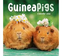 2026 Guinea Pigs Mini Wall Calendar