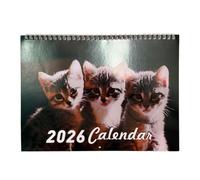 2026 Kitten Theme Calendar From Jan to Dec with Holiday Marking Twin Coil Binding Wall Mounted Monthly Planner