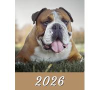 2026: Large Monthly Calendar Planner - Bulldog