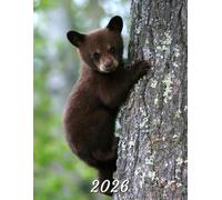 2026: Large Monthly Calendar Planner - Cute Bear Cub
