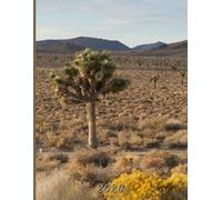 2026: Large Monthly Calendar Planner - Joshua Tree Mojave Desert