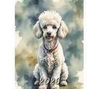 2026: Large Monthly Calendar Planner - Watercolor White Poodle Dog