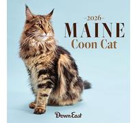 2026 Maine Coon Cat Wall Calendar