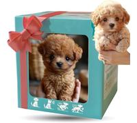2026 New Nicoo My Realistic Robot Puppy, Robot Dog That Acts Like A Real Dog, Ai Dogs for Adults Realistic for Adults, Walking, Barking, Tail Wagging, Gift for Pet Lover (#1)