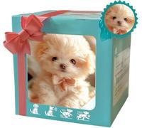 2026 Nuovo Cane Robot, Nicoo - Il Mio Cucciolo Robot Realistico, Robotpuppy Che Si Comporta Come Un Vero Cucciolo, Robotdog Che Si Comporta Come Un Vero Cane, Ai Robotdog con Camminare, Abbaiare Coda