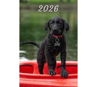2026: Small Monthly Calendar Planner - Black Lab Puppy Dog